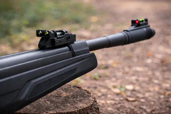 najlepšia vzduchovka na škodnú – detail hlavne a mieridiel vzduchovky v realistickom vonkajšom prostredí.webp